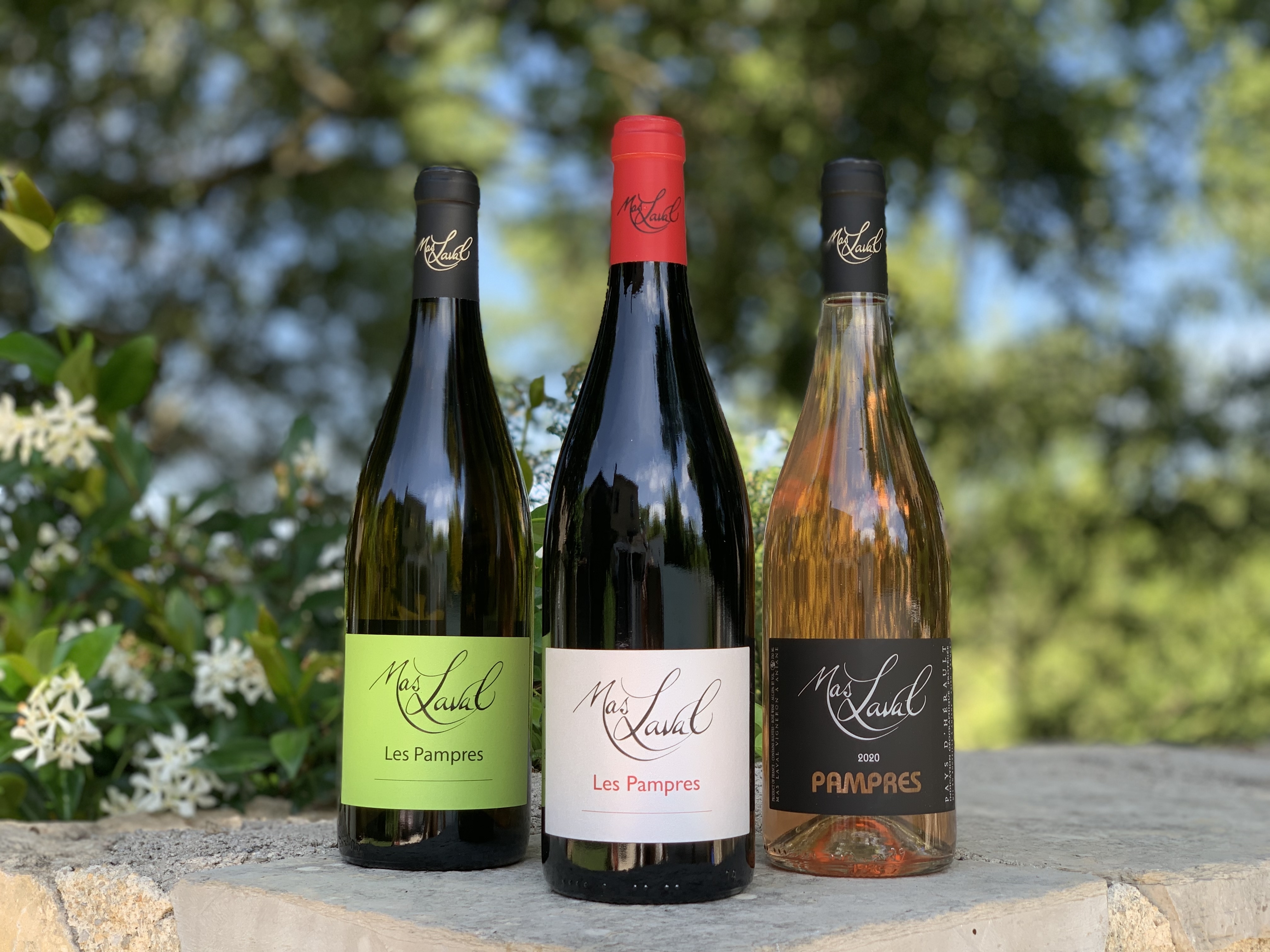 Domaine Mas Laval : Au Coeur des Terrasses du Larzac